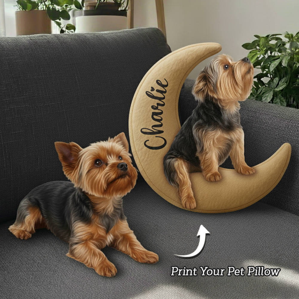 Personalized Dog/ Cat Sit On The Moon Ugly Plush Pillow For Dog Lovers Hv01