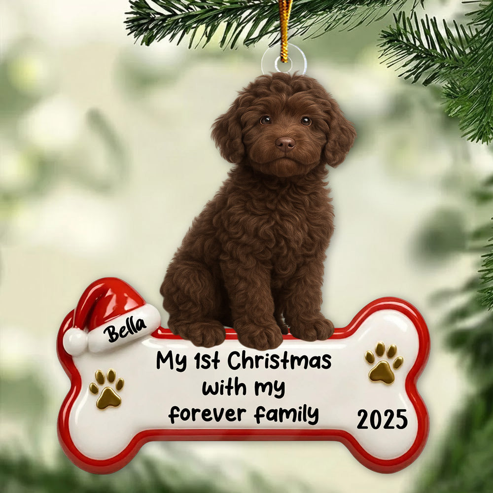 My 1st Christmas With Forever Family, Personalized Acrylic Ornament, Gifts For Dog Lovers T1807 Li29