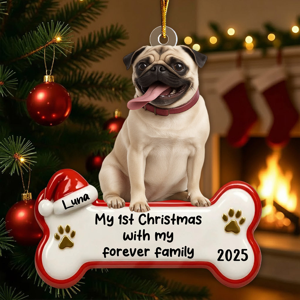 My 1st Christmas With Forever Family, Personalized Acrylic Ornament, Gifts For Dog Lovers T1807 Li29
