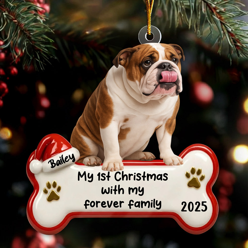 My 1st Christmas With Forever Family, Personalized Acrylic Ornament, Gifts For Dog Lovers T1807 Li29