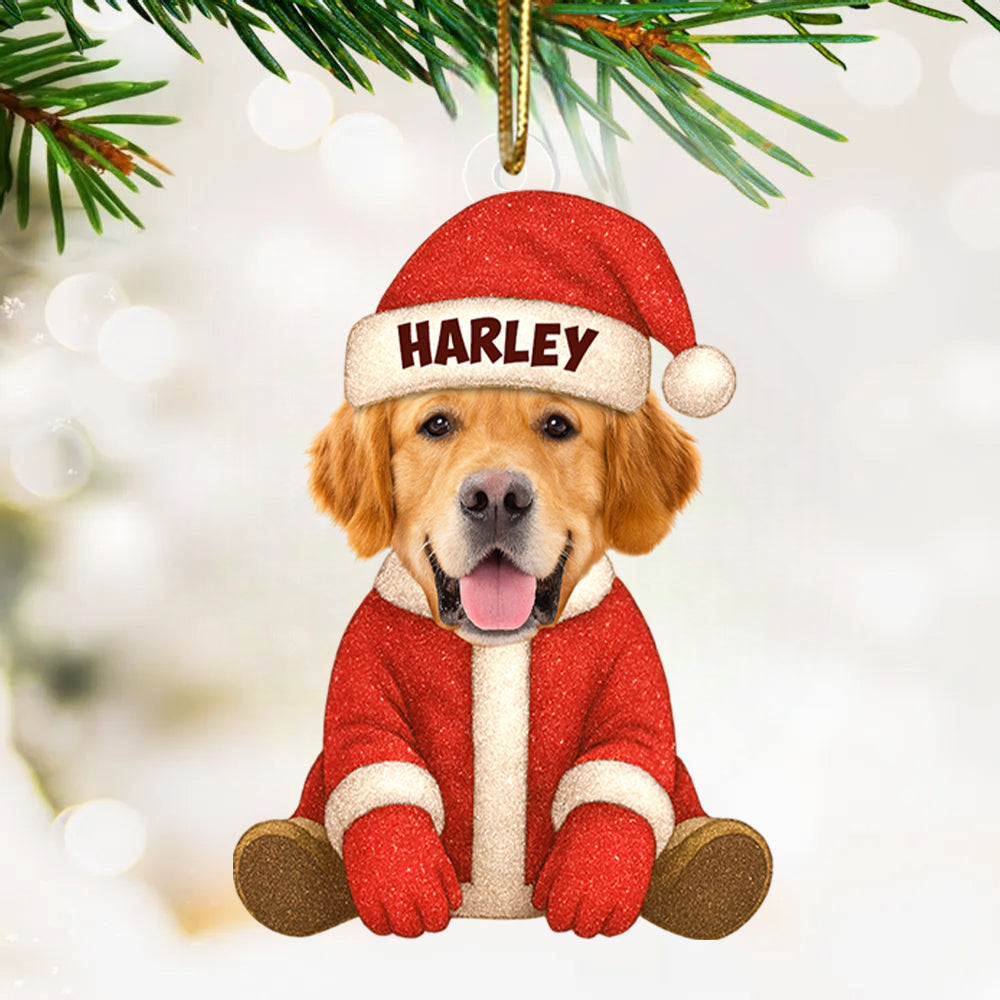 Ornament Christmas Custom Face For Pet Loves Funny - Personalized Acrylic Photo Ornament T1807 Hv01