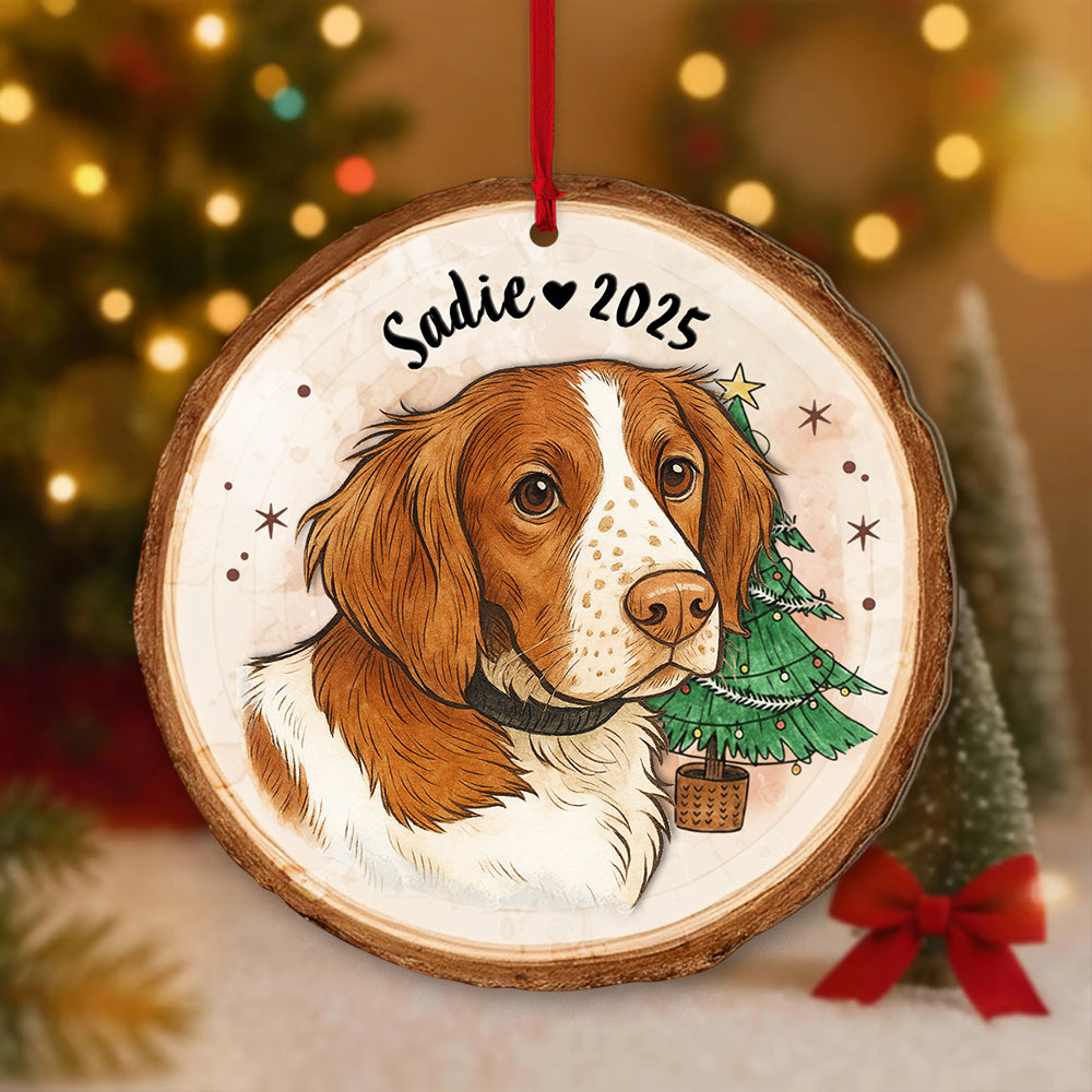Personalized Pet Portrait From Photo Ornament, Dog Christmas Acrylic Ornament, Pet Lover Gift T1807 Li29