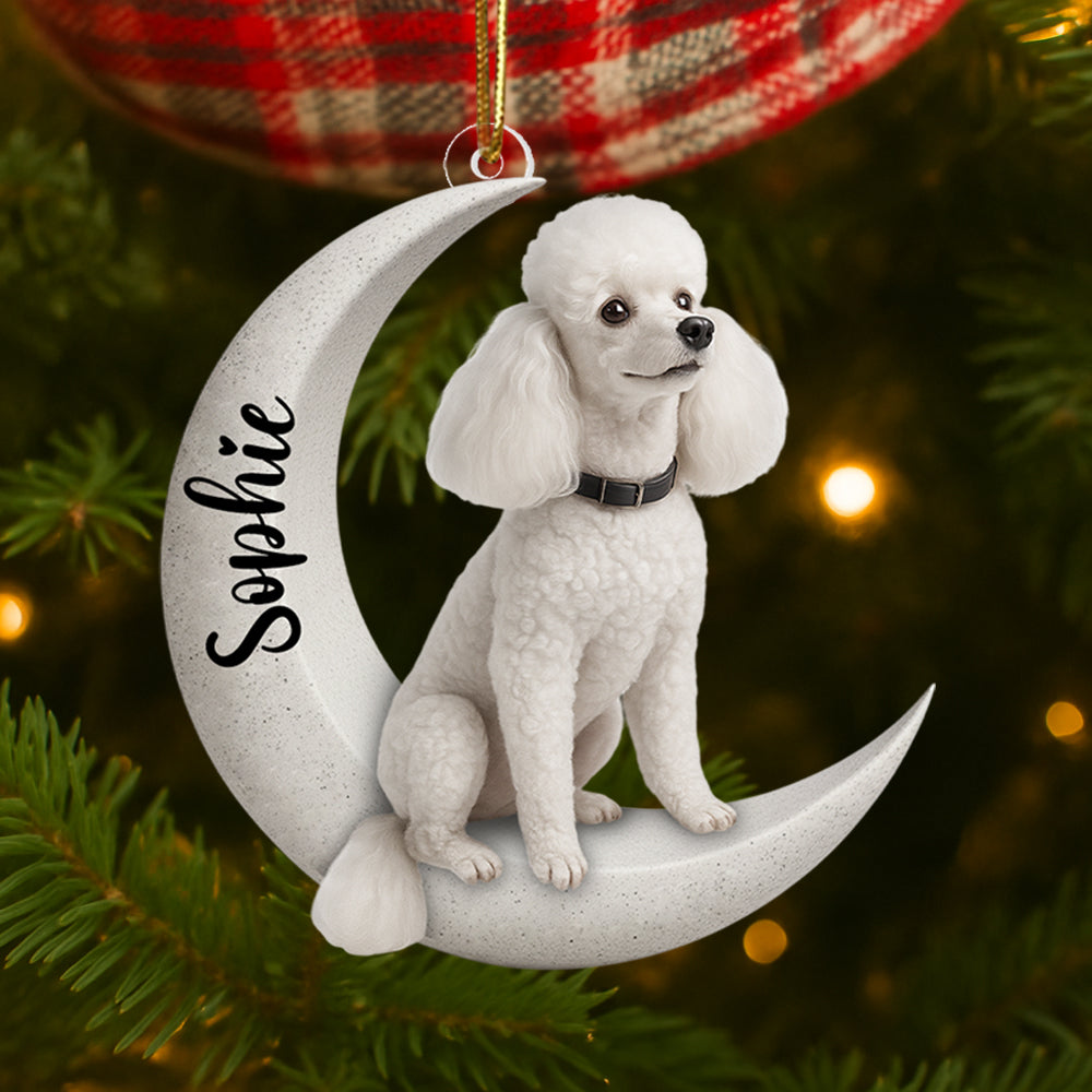 Personalized Dog/ Cat Sit On The Moon Two Sided Ornament For Dog Lovers Hv01