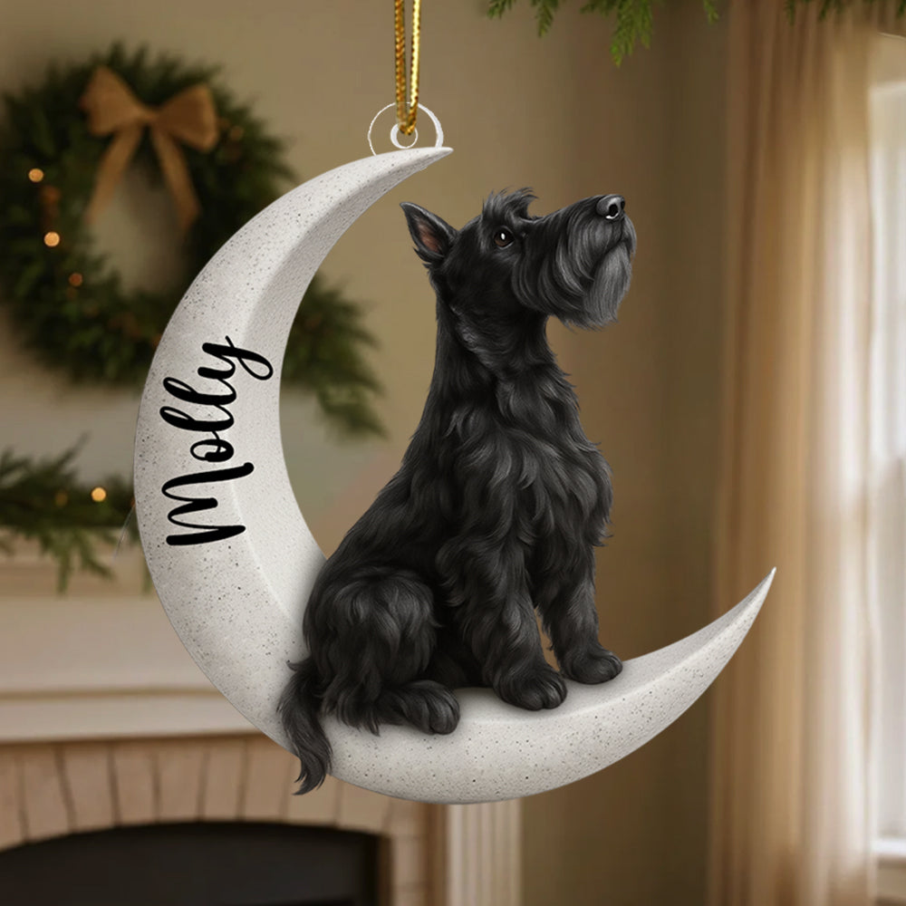 Personalized Dog/ Cat Sit On The Moon Two Sided Ornament For Dog Lovers Hv01