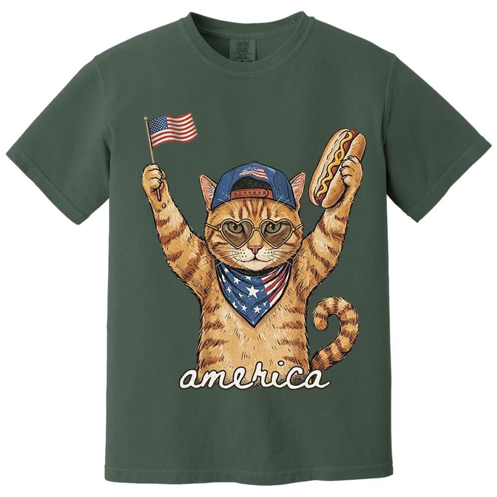 Custom Photo Pet, Patriotic Cat Shirt, Cat Lover Gift, 4th Of July Shirt, America Tee, Independence Day Graphic Nh00
