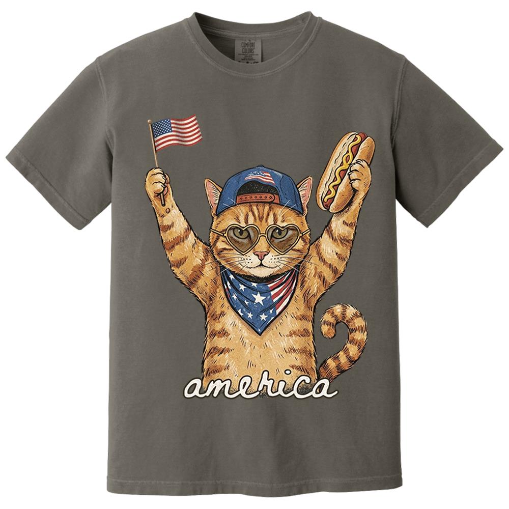 Custom Photo Pet, Patriotic Cat Shirt, Cat Lover Gift, 4th Of July Shirt, America Tee, Independence Day Graphic Nh00